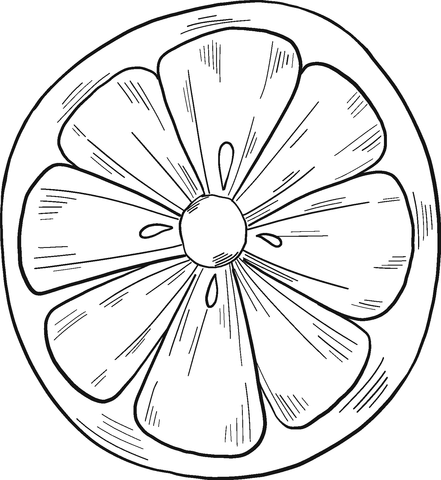 Slice Of Lemon Coloring Page